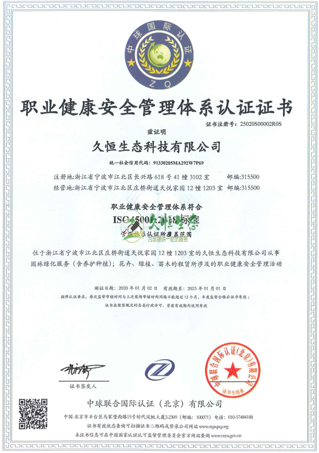武汉黄陂职业健康安全管理体系ISO45001证书